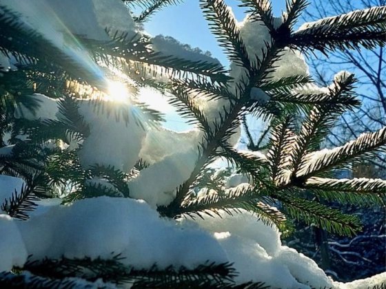 Оренда добротноі квартири в мкр. Боздош , новий фонд. Ужгород