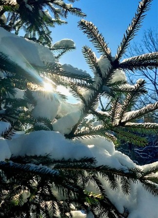 Оренда добротноі квартири в мкр. Боздош , новий фонд. - фото 1