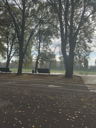 Здається 1 кімнатна мансарда - фото 1