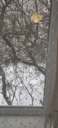 Здам 1к.кв вул.Текстильників б.11а (Шерстянка ) - фото 1