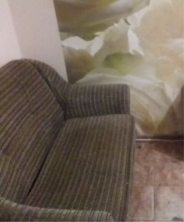 Оренда.Однокімнатна Урожай. Князів Коріатовичів.Військовий шпиталь - фото 1