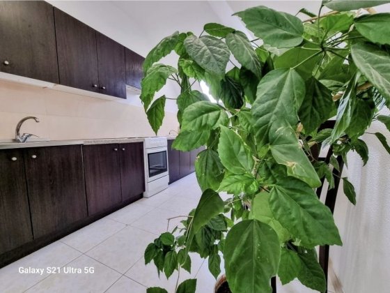 От месяца! Новострой! 1 к кв. Левый берег. Риелторы не звоните.