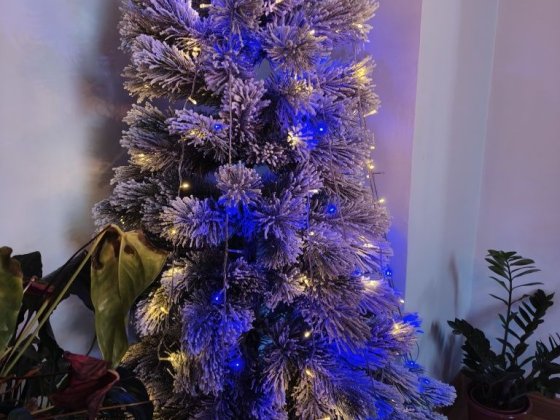 Перша здача Новий рік оренда на будь-який термін центр Житомир