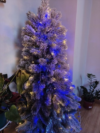 Перша здача Новий рік оренда на будь-який термін центр - фото 1