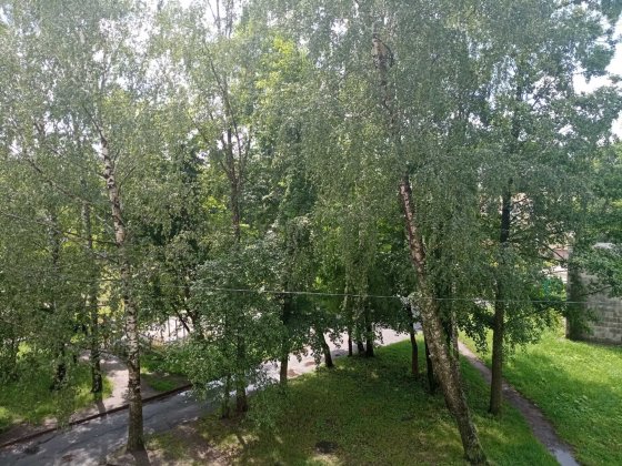 Здам в довгострокову оренду двокімнатну квартиру в центрі Житомир