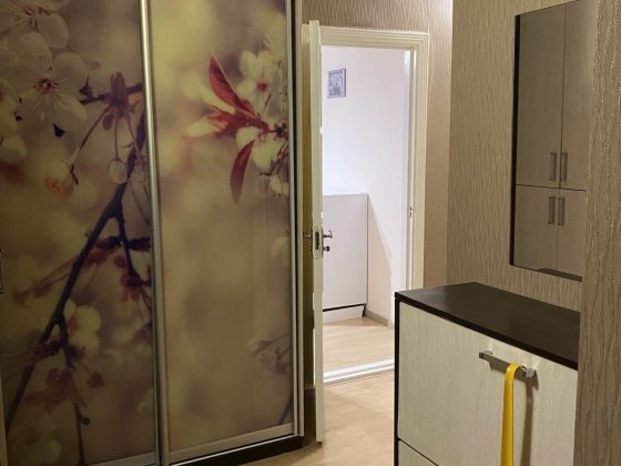 Здам квартиру навпроти Глобала Житомир