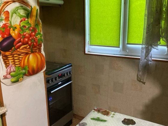 Однокомнатная, ул.Дубровицкая 5, пл. Шевченко Київ