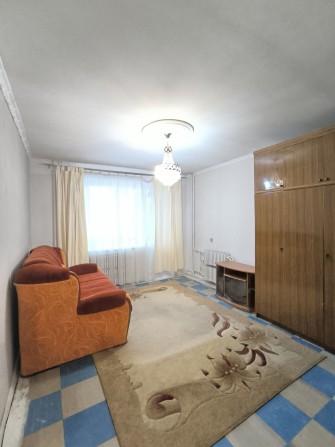 Сдам 1 комнатную квартиру на Соколе-2. Можно с животным! - фото 1