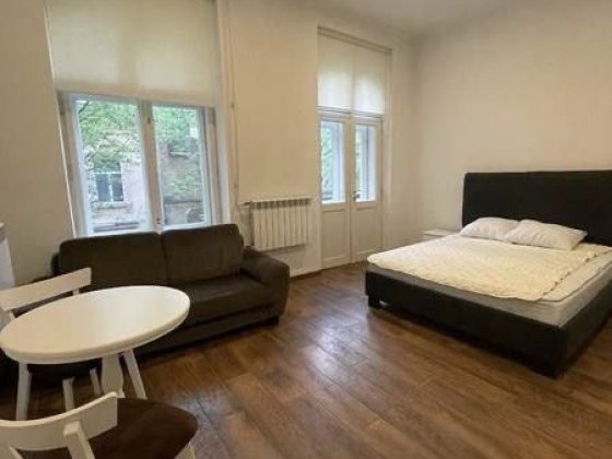 Довгострокова оренда квартири в центрі Львова Львов