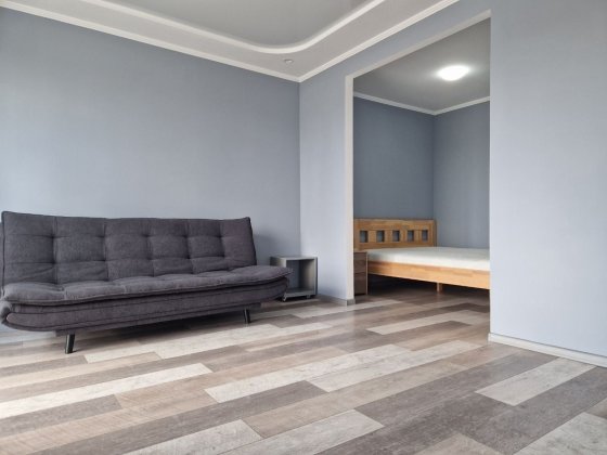 1к Генерала Пушкина 26а, Подстанция, небольшое животное обсуждается