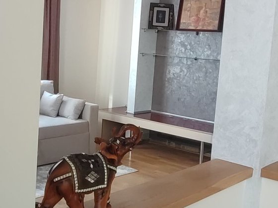 Оренда 3к.Сихів- Драгана Львів