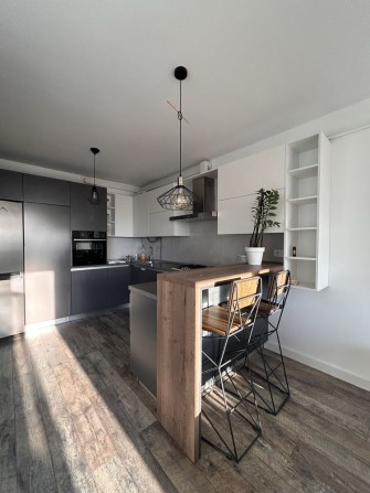 Оренда 1 кім квартири та кухні студії - фото 1