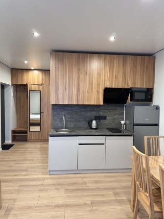 Оренда квартири Сонячне Закарпаття - фото 1