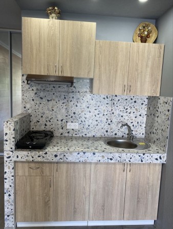 Оренда 1 кімн квартири в с. Софіївська Борщагівга, можна з тваринками - фото 1