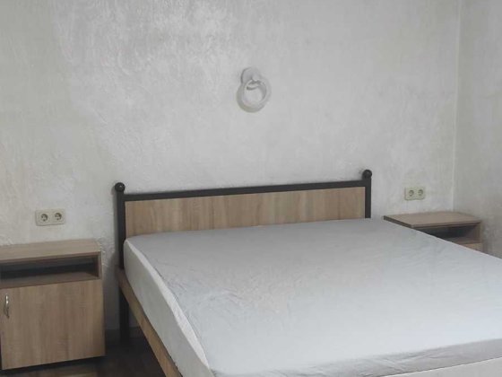 Затишна,теплий будинок,газ плита і опалення. Є відео Святопетрівське