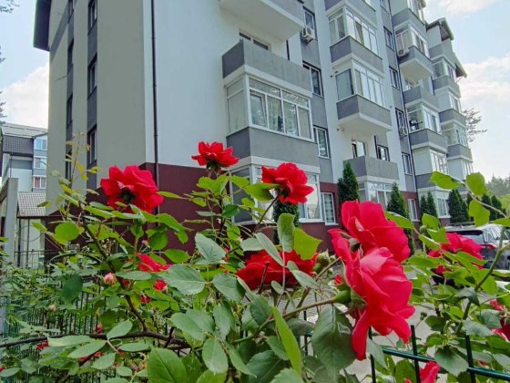 Квартира с ремонтом в ЖК Идея, Бортничи Київ