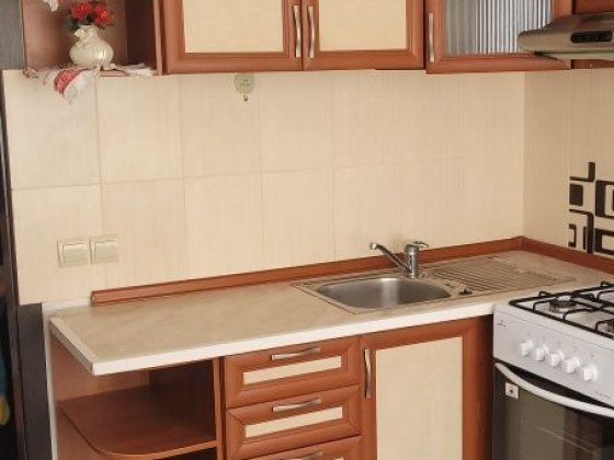 Оренда квартири однокімнатна Софиевская Борщаговка