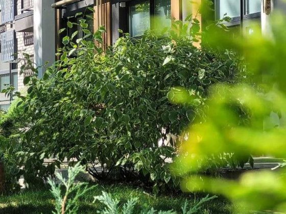 Продається стильна 1-кімнатна квартира в клубному ЖК Forest Park Київ