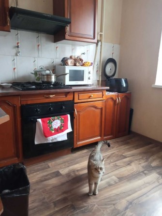 Котельникова, 2-к хорошая раздельная квартира, метро Святошино - фото 1