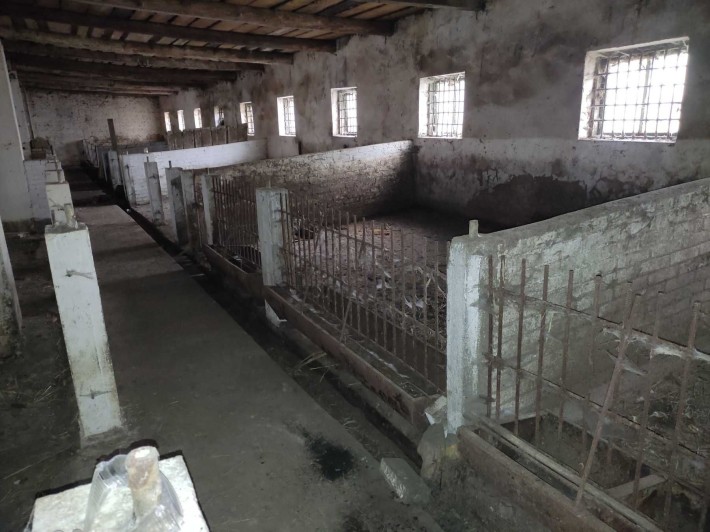 Приміщення, Ферма, склад, завод, фабрика, виробництво, вільне плануван - фото 1