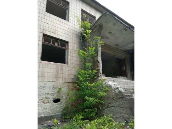 Майновий комплекс, 1726,5 кв. м, вул. Василя Карпенка, 46А Звягель