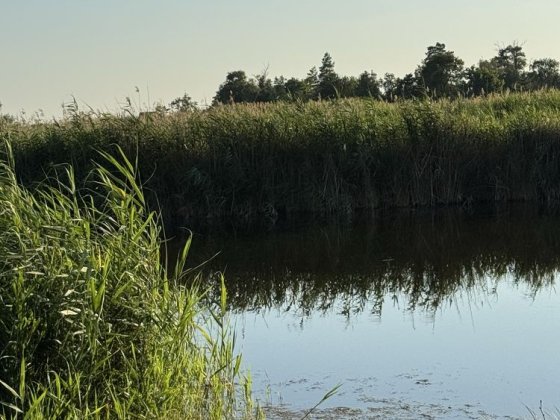 Продам готовый бизнес в городе