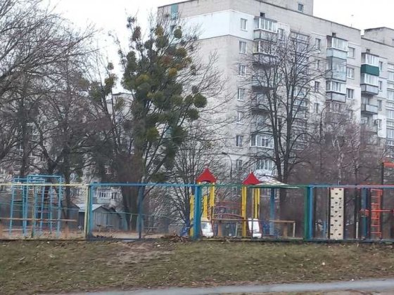 продаємо приміщення під офіс Сміла