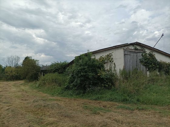 Продам приміщення під склад або для господарства 500м* Хуст