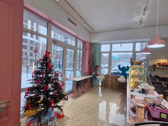 Комерційне приміщення з ремонтом Ирпень