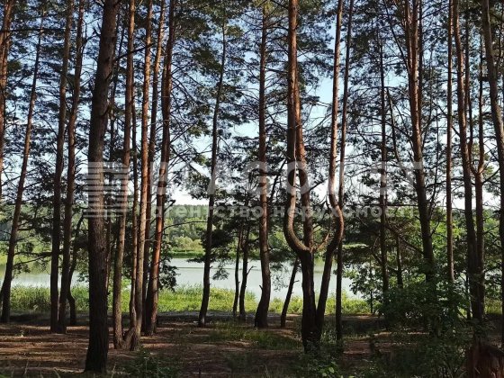 Продаж Бази Відпочинку серед Лісу ! 6.9 Га ! Червоний Хутір Київ