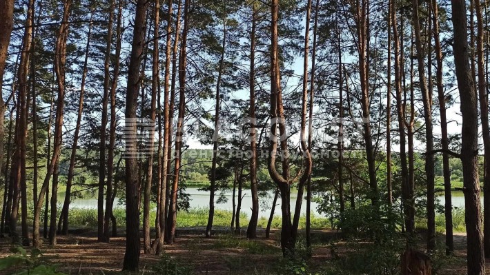 Продаж Бази Відпочинку серед Лісу ! 6.9 Га ! Червоний Хутір - фото 1