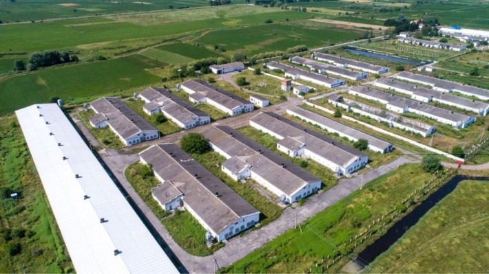 Продаж птахофабрики свиноферми комбікормового заводу в Чернівецькій - фото 1