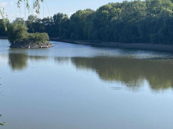 База відпочинку в лісі. Будинок Мисливця.