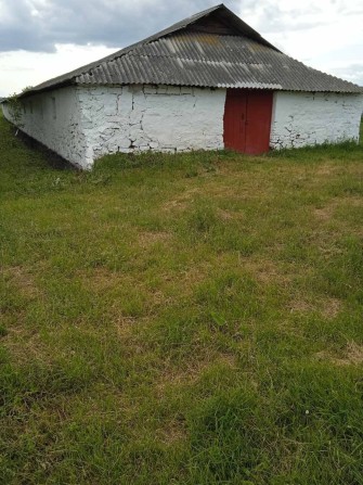 Продається ферма в селі Сіваківці. - фото 1