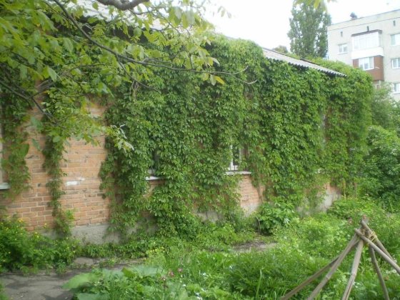 Житлове приміщення під пекарню дім літніх садок школу пансіон клініку Житомир