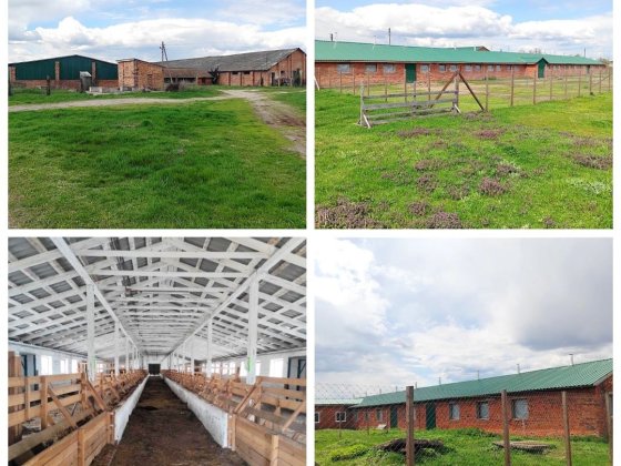 Продаж ферми. Траса Київ Рівне. Житомир. Можна під виробництво. Житомир