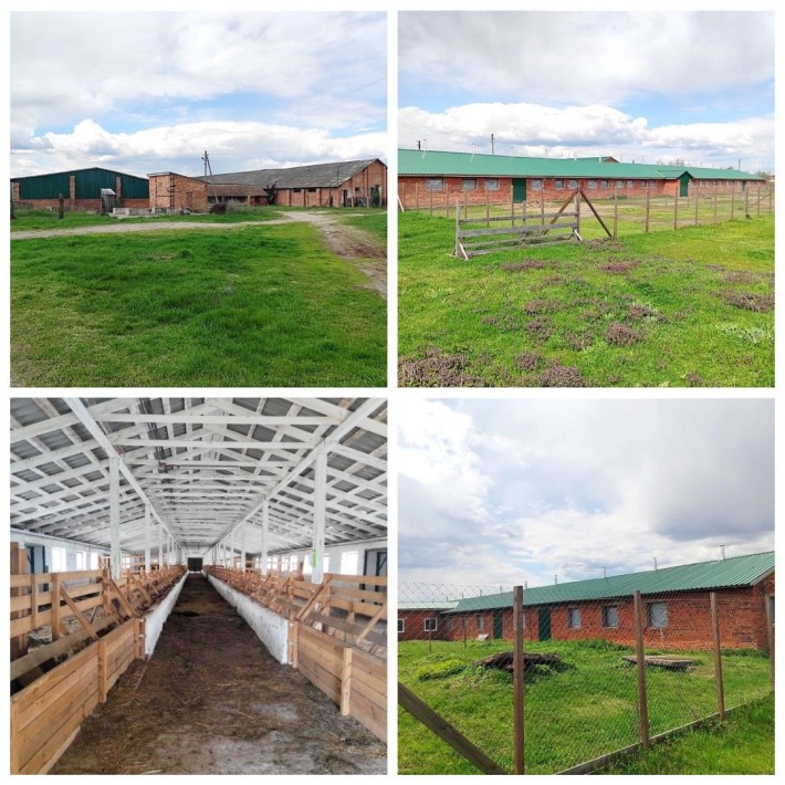 Продаж ферми. Траса Київ Рівне. Житомир. Можна під виробництво. - фото 1