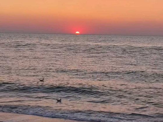 Нежилое помещение Одеса