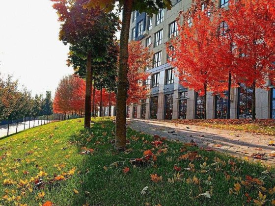 Новий ЖК Бізнес классу Riverside. Фасадне торгове приміщення. 80,6 м² Київ