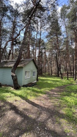 ПРОДАЖ база відпочинку «ДНІПРО» - фото 1