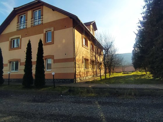 Продається комерційна будівля в м. Свалява Свалява