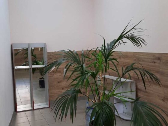 ЖК София продам помещение улица Боголюбова 8 цоколь Софиевская Борщаговка