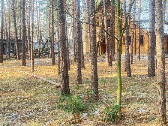 Козин база відпочинку, ділянка 1га, сосни на ділянці, рекреація. Козин