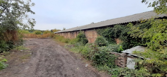 Приміщення 2000м кв на  2,3 га  під виробництво,фермерство в Кагарлику - фото 1