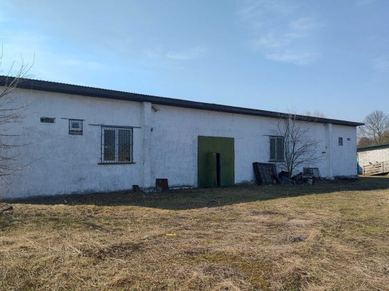 Ферма Свиноферма Скотарство Зерносхови Цех Броварський 600квм 70сот Летки