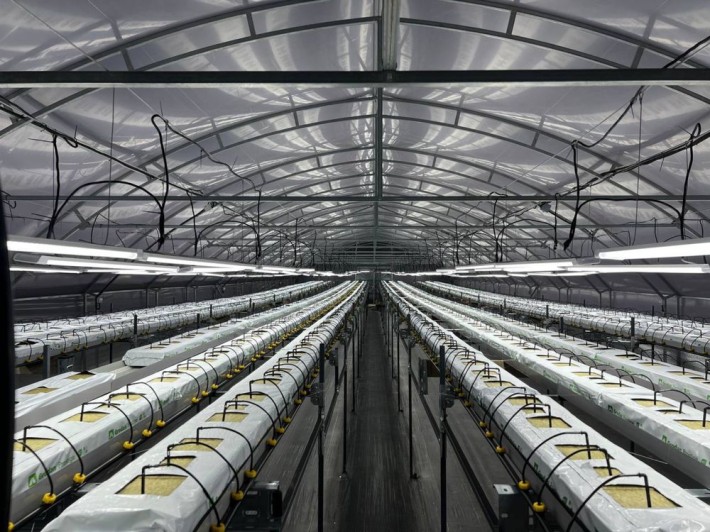 Технологічне тепличне господарство - фото 1