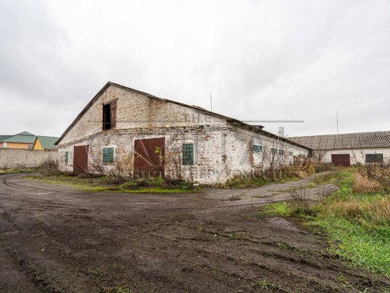 Продаж складу, Шпитьки, Бучанський р-н Шпитьки