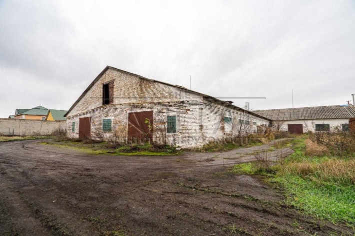 Продаж складу, Шпитьки, Бучанський р-н - фото 1