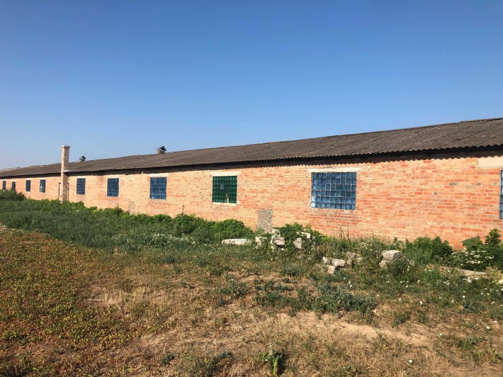 Діючий бізнес (вирощування та продаж бройлера) - фото 1