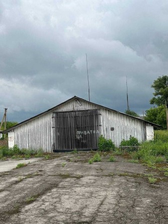 Продаж частини колишнього колгоспного двору, с. Олишівка - фото 1